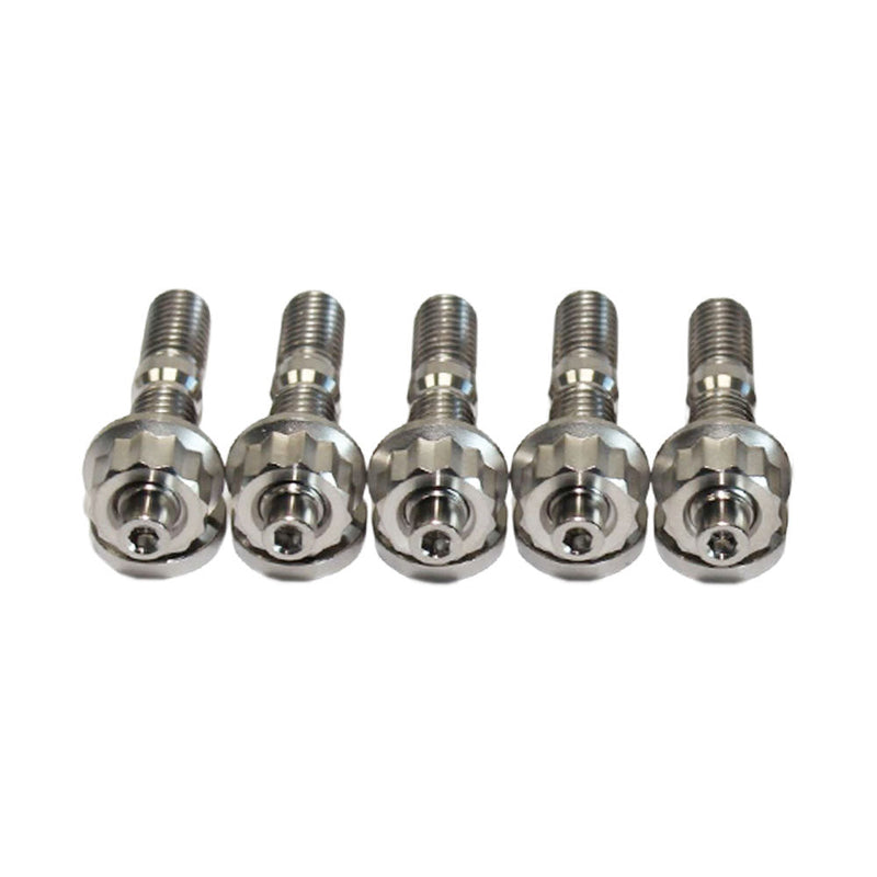 Load image into Gallery viewer, Turbo To Dump Pipe Titanium Stud Kit For Ford Falcon XR6 Barra BABFFG